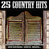 Billie Joe Spears 25 Country Hits