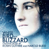 Robin Guthrie White Bird in a Blizzard (Original Motion Picture Soundtrack)