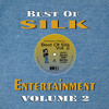 Gordon Chambers Best of Silk Entertainment, Vol. 2