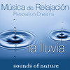 Sounds Of Nature Relaxation Dreams, Música de Relajación: La Lluvia