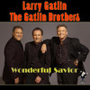 Larry Gatlin & the Gatlin Brothers Wonderful Savior