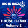 Yer Man House: DJ Mix, Vol. 2