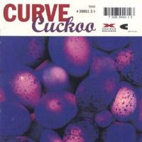 Curve Cuckoo