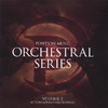 James Dooley Position Music - Orchestral Series Vol. 2