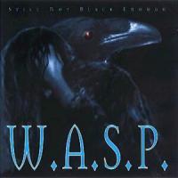 W.A.S.P. Still Not Black Enough