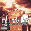 Dj Wild Welcome to Space City