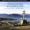 Joe Perry Renewal Songs With Healing Rays