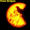 Eric Johnson Total Eclipse