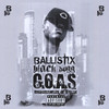 Ballistix Black Dogg C.O.A.S: Characteristix of a Star