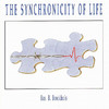Bas Broekhuis The Synchronicity of Life