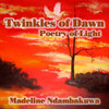 Madeline Ndambakuwa Twinkles of Dawn