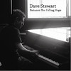 Dave Stewart Between the Falling Hope