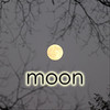 Moon Pieces of Eight - Single