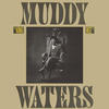 Muddy Waters King Bee