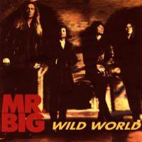 Mr. Big Wild World