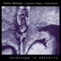 Vidna Obmana Landscape In Obscurity