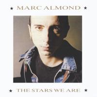 Mark Almond The Stars We Are