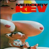 Mercury Rev Boces