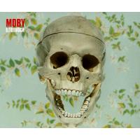 Moby Bodyrock (Single)