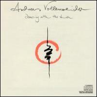 Andreas Vollenweider Dancing With The Lion