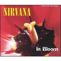 Nirvana In Bloom (Single)