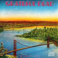 Grateful Dead Dead Set