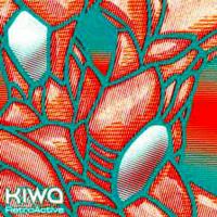Kiwa Retroactive