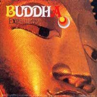 Shanti Buddha Experience