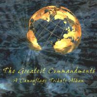 The Shadows The Greatest Commandments: The Camouflage Tribute Album