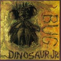 Dinosaur Jr. Bug