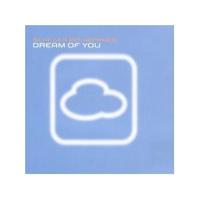 Schiller Dream Of You (Single)