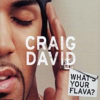 Craig David Whats Your Flava (Single)