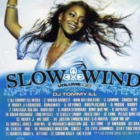 Beyonce Slow Wind Volume 4.5 (Bootleg)