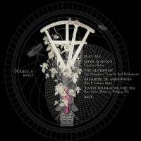 ENIGMA A Posteriori: Nebula Extra Tracks (DVD-rip)