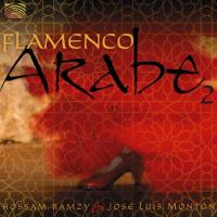 Hossam Ramzy Flamenco Arabe 2