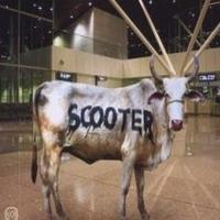 Scooter Behind The Cow (incl. spencer and hill mixex) (Single)