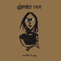 Damien Rice Rootless Tree (single)