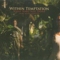 Within Temptation What Have You Done (Maxi)