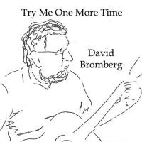David Bromberg Try Me One More Time