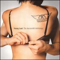 AEROSMITH Young Lust: The Aerosmith Anthology (CD1)
