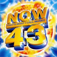 Fatboy Slim Now That`s What I Call Music! Vol. 43 (CD 2)