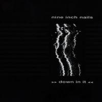 Nine Inch Nails Down in It (Single)