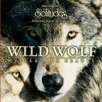 Solitudes Wild Wolf: Mysterious Beauty