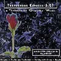 Razed In Black Trancemode Express 3.01: A Tribute To Depeche Mode