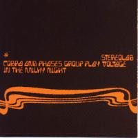 stereolab Cobra and Phases Group Play Voltage in the Milky Night