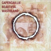 Capercaillie Beautiful Wasteland