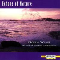Echoes Of Nature Ocean Waves