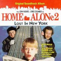 TLC Home Alone 2: Lost In New York