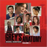 Gomez Grey`s Anatomy, Vol. 2