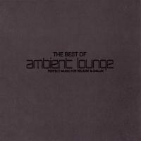 Paul Van Dyk The Best Of Ambient Lounge (2 CD)